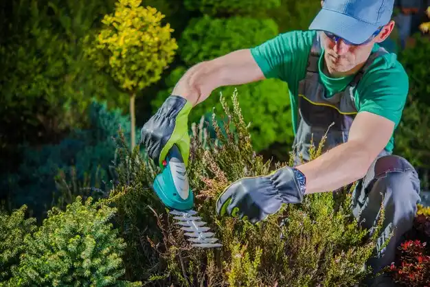 landscaping services St. Clair Shores